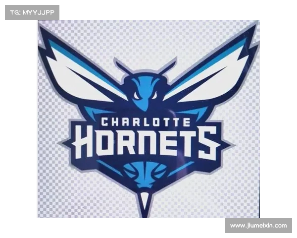 探索NBA球队文化：深度解析各队独特的精神面貌与球队氛围